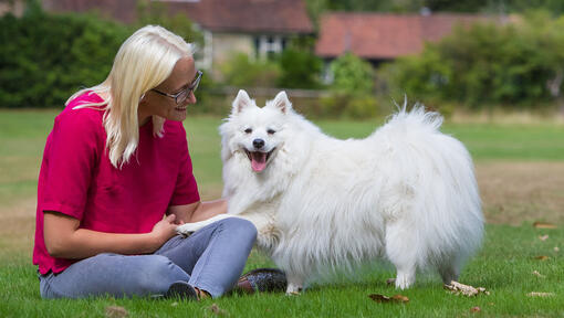 Mujer sentada afuera con perro