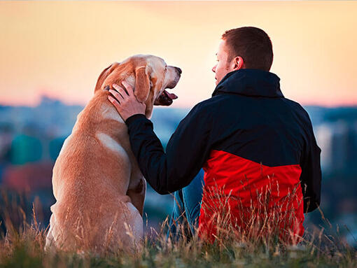 Hombre sentado en el exterior con su Labrador