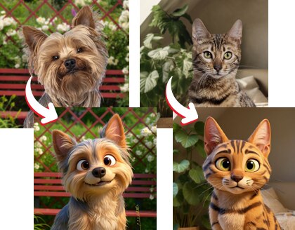 Fotos de mascotas personalizadas
