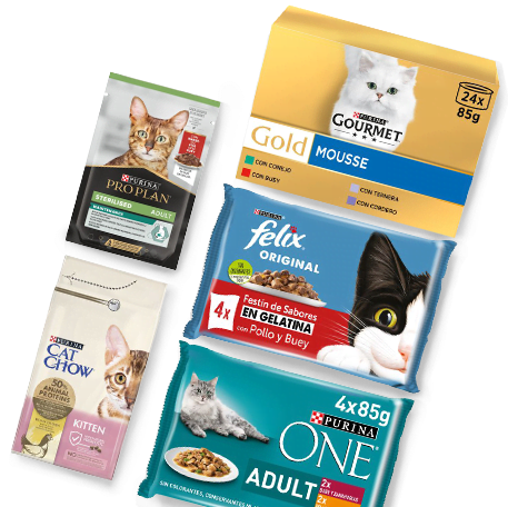 cat-catalog