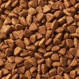 Comida seca