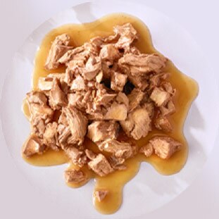 Comida húmeda