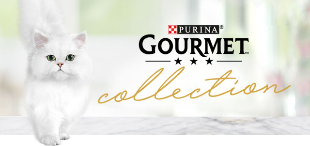 Gato blanco Gourmet