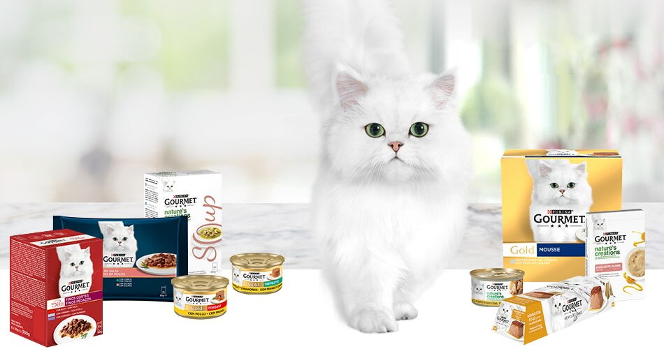 Gato blanco Gourmet