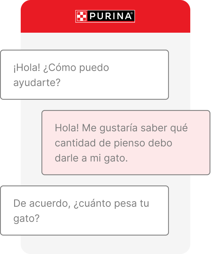 Muestra de conversación en el chat