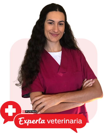 Experta veterinaria Madalena Antures