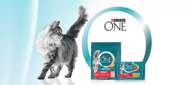 Purina ONE® Mix Feeding