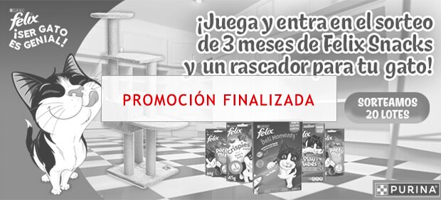 ¡Gana snacks y un rascador!