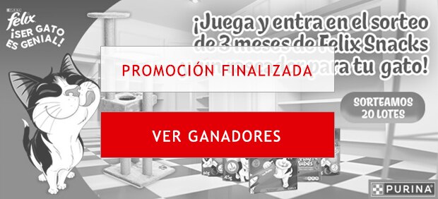 ¡Gana snacks y un rascador!