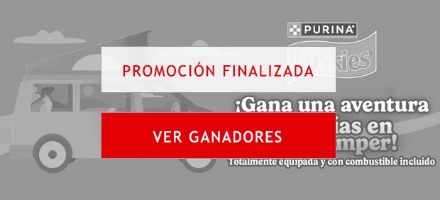 Gana una aventura en camper con Friskies