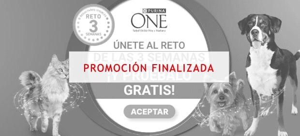 Únete al Reto de las 3 semanas de Purina ONE