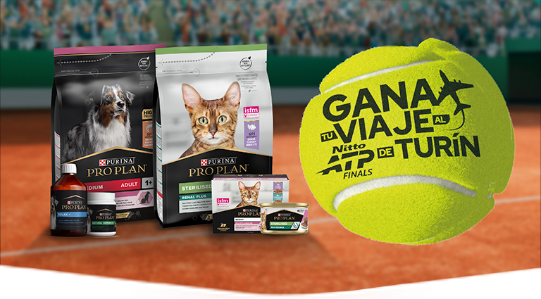 Banner promoción
