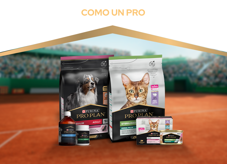 Banner promoción