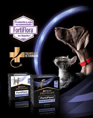 Producto FortiFlora para perros y gatos con el sello de probiótico más recomendado en España