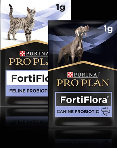 Productos FortiFlora Pro Plan Purina para perros y gatos de 1g