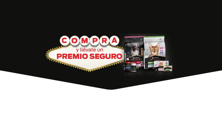 Banner promoción