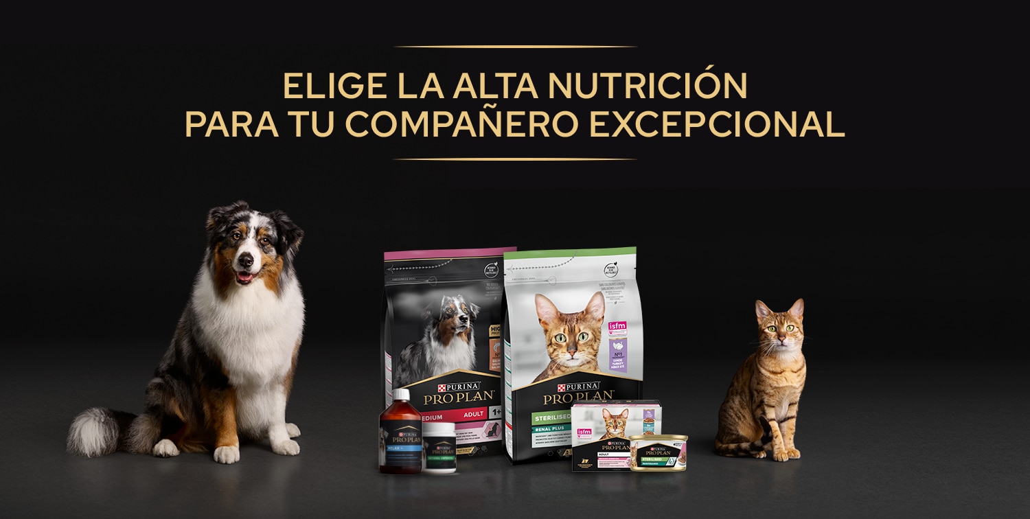 Imagen con texto: Elija la alta nutrición para tu compañero excepcional, en tamaño grande