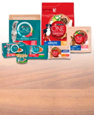 Purina One: Reto de las tres semanas