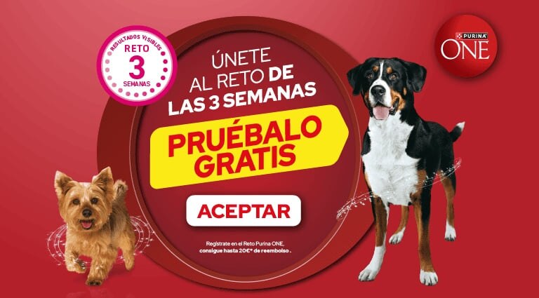 Mi Purina