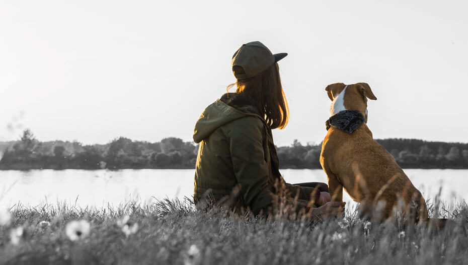Mujer sentada en un lago con perro