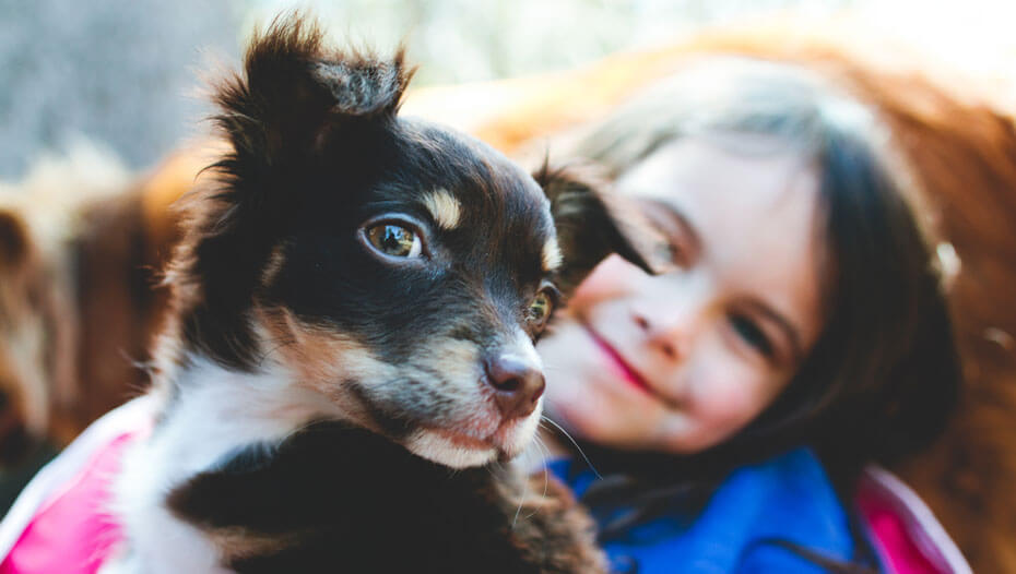 Niño con cachorro