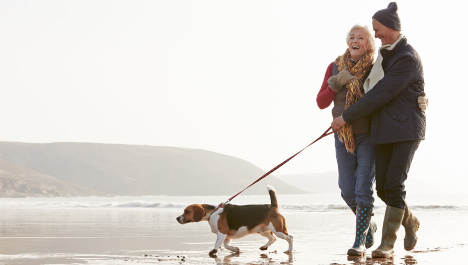 Pareja caminando con un beagle en la playa