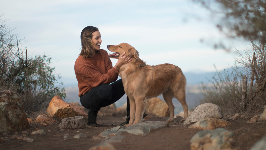 Perro Golden Retriever con su dueño en la montaña