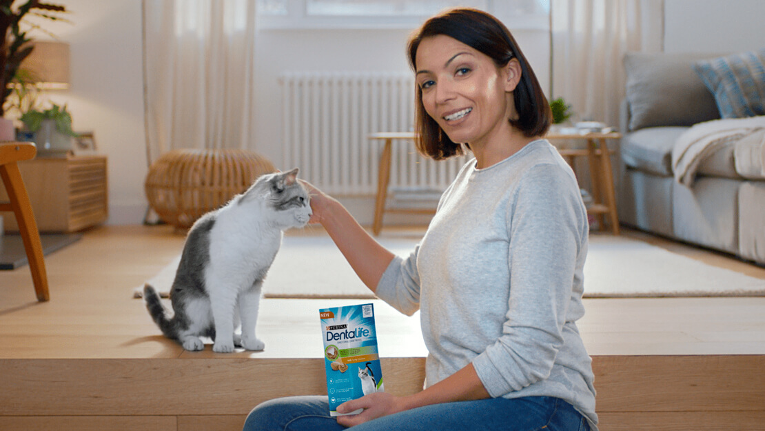 Listado de productos Dentalife Gato