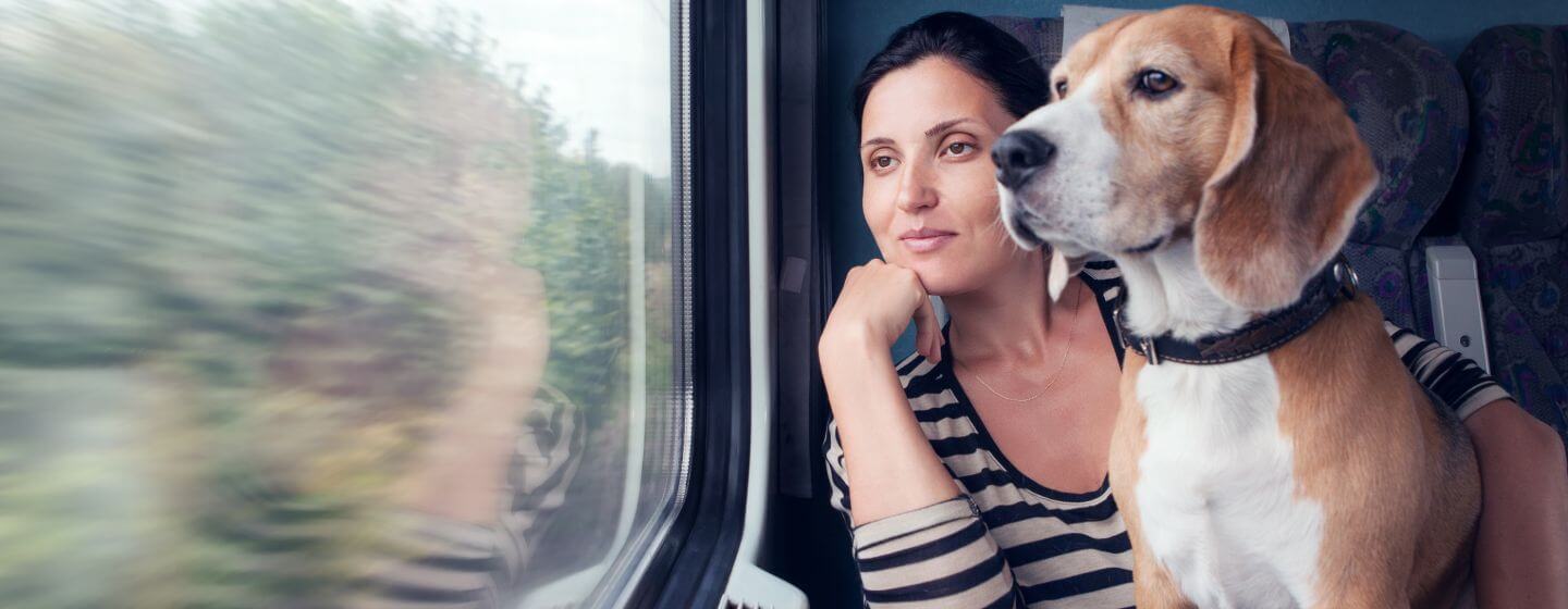 Mujer y Beagle mirando por la ventana de un tren