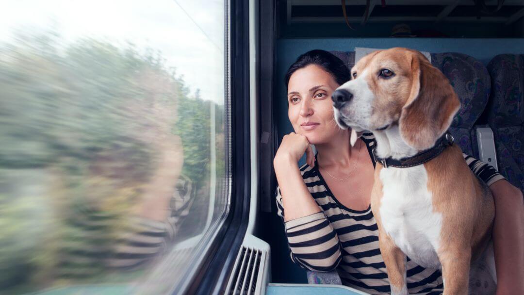 Mujer y Beagle mirando por la ventana de un tren