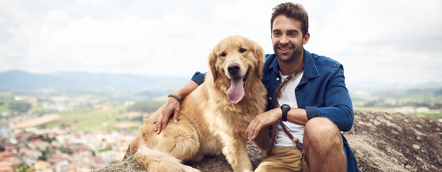 Perro sentado en la montaña con un hombre