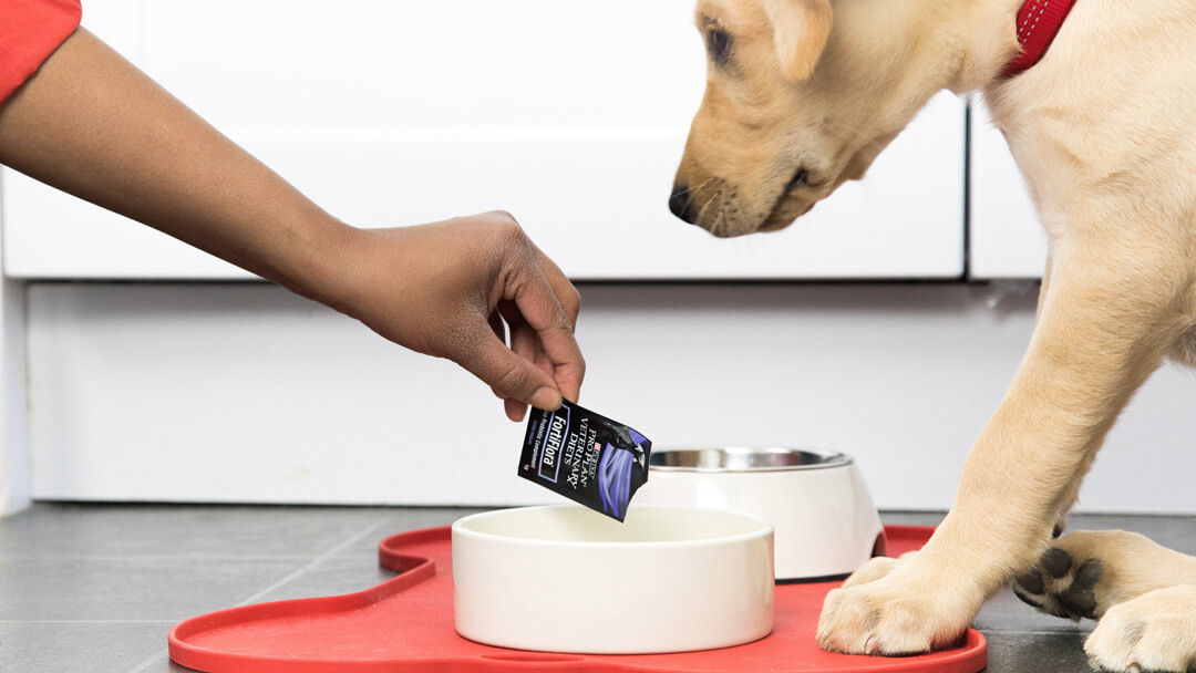 Owners adding probiotics to the bowl