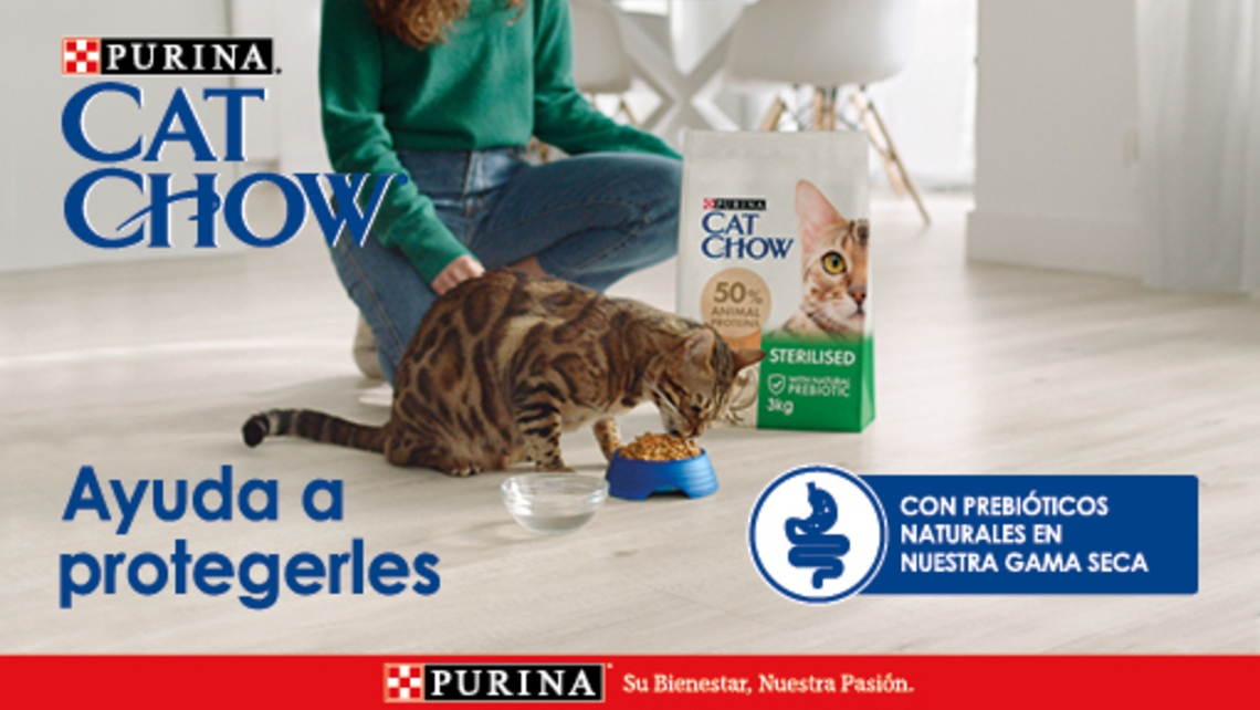 Gato comiendo pienso PURINA®  CAT CHOW® con prebióticos naturales