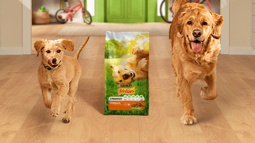 Pienso Purina® Friskies® Perro​