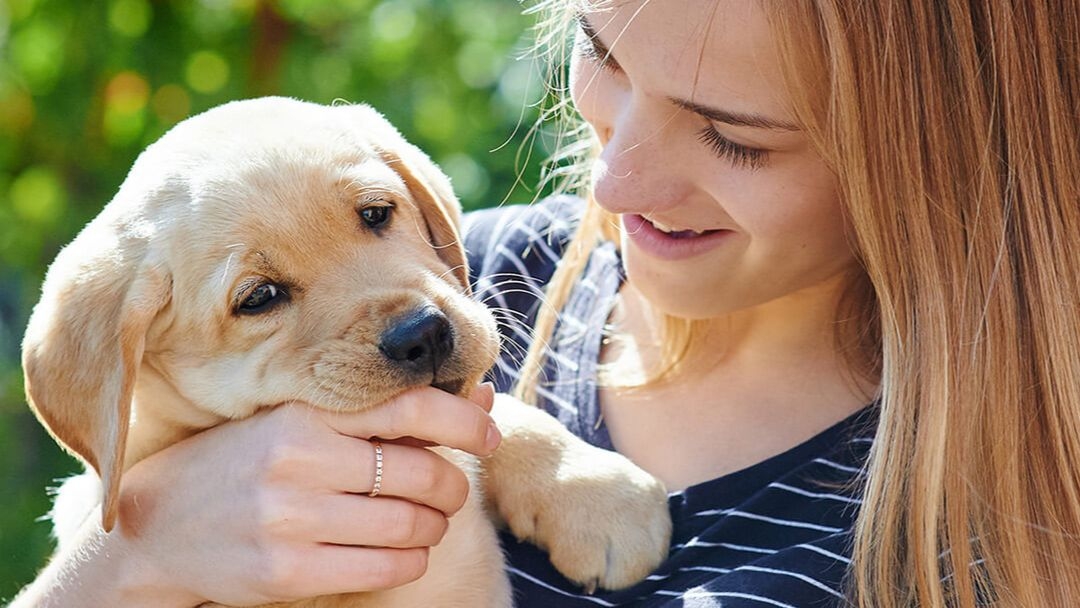 Ropa tienda de comestibles Respiración Cómo cuidar a un cachorro | Purina®