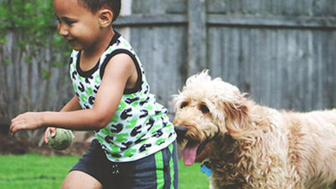 Contribuyente ritmo recompensa 5 beneficios de tener un perro para los niños | Purina®