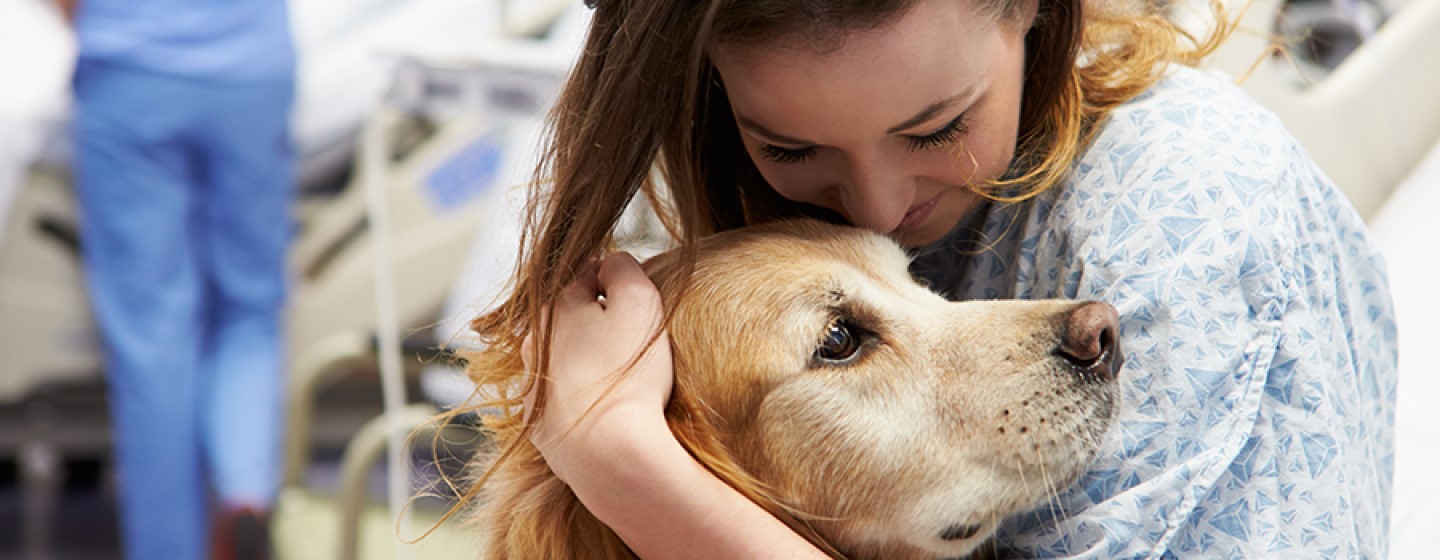 Cómo ayudan los perros a las personas