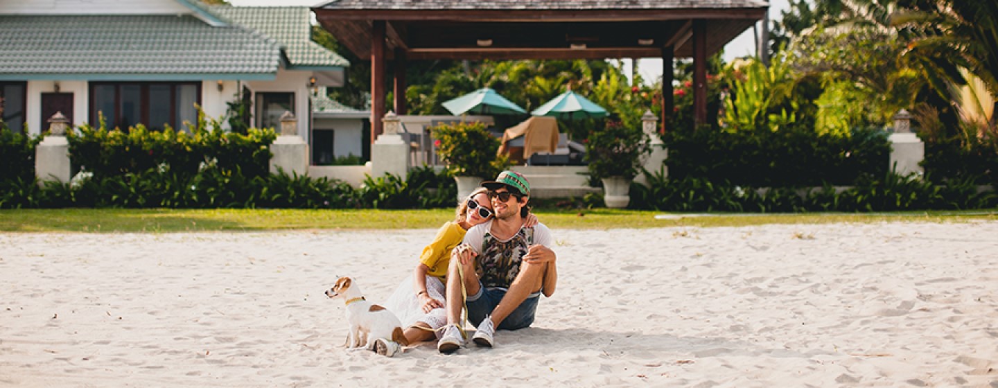 Dónde alojarte con tu perro cerca de la playa