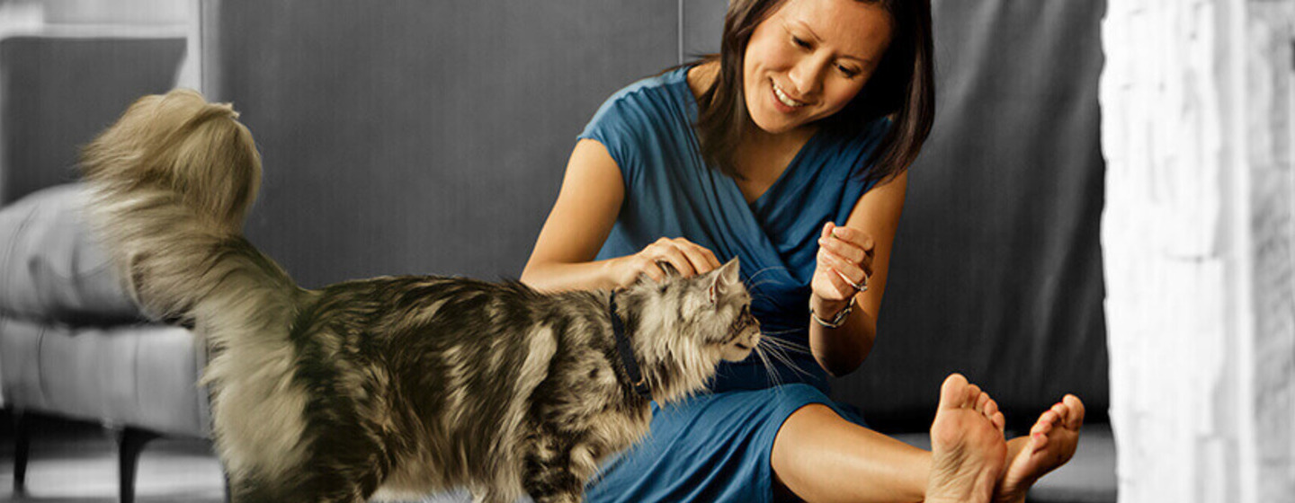 Dueña con gato de pelo largo