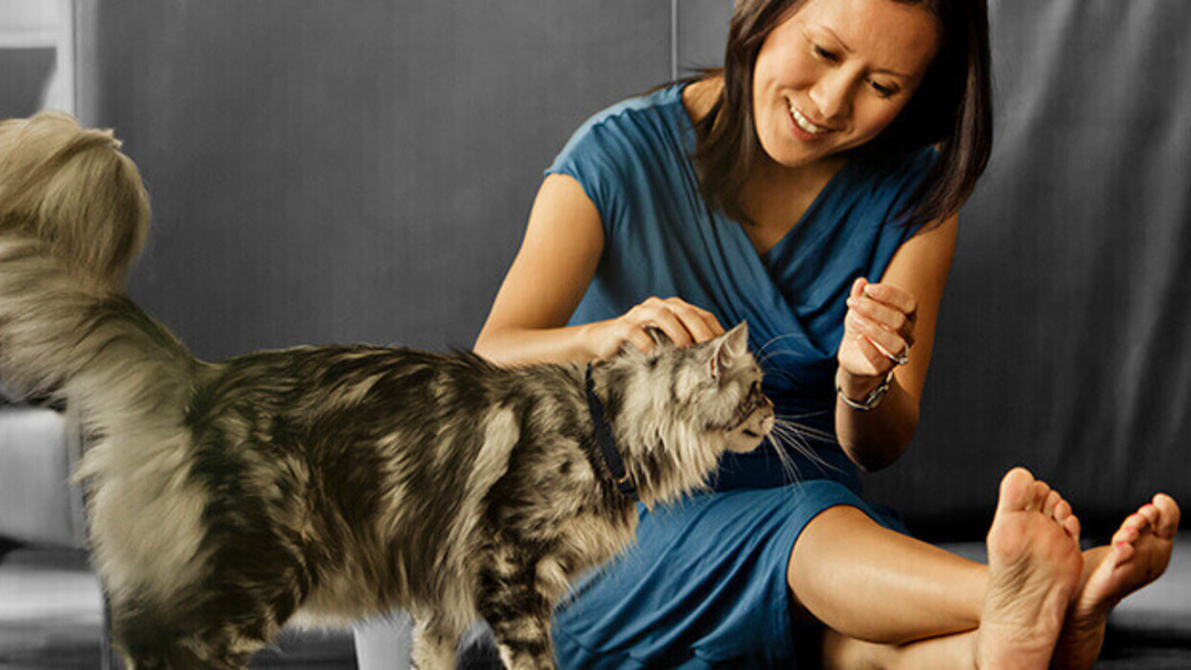 Dueña con gato de pelo largo