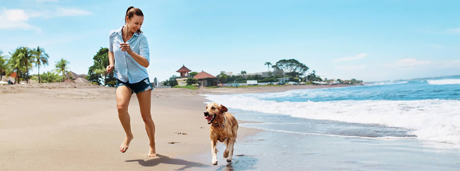 5 Planes para disfrutar del verano con tu perro
