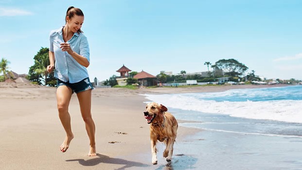 5 Planes para disfrutar del verano con tu perro