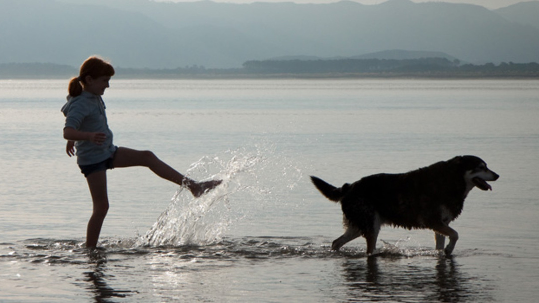 Escapadas con perros