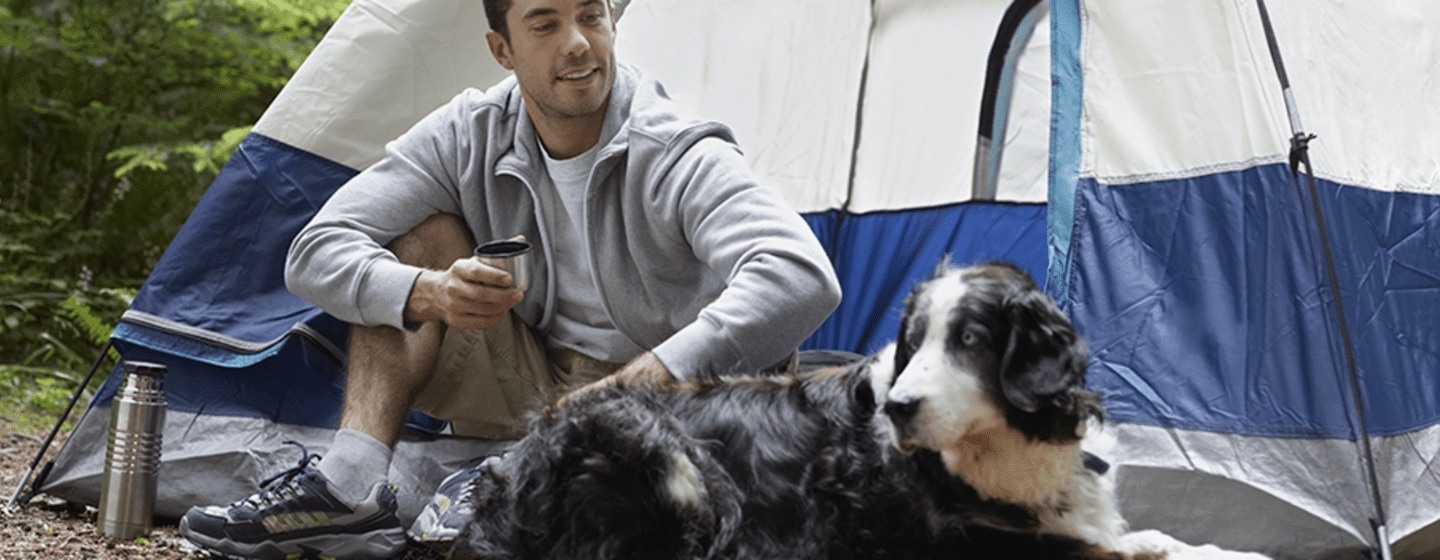 Ir de camping con tu perro