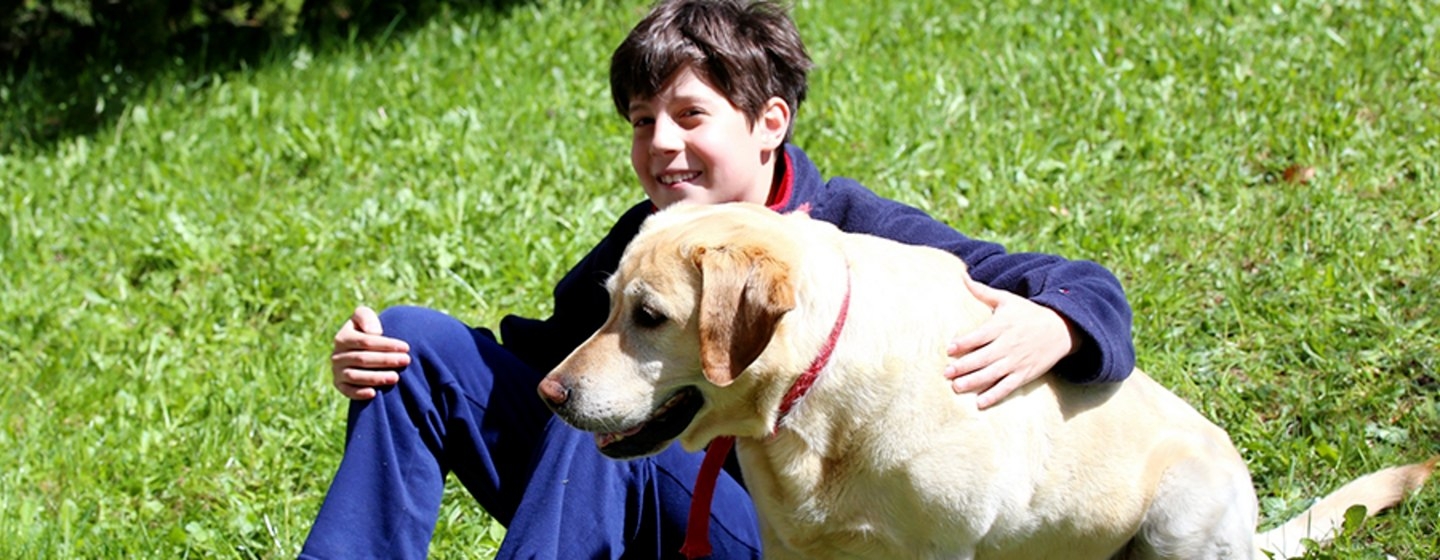 Terapias con animales para el autismo