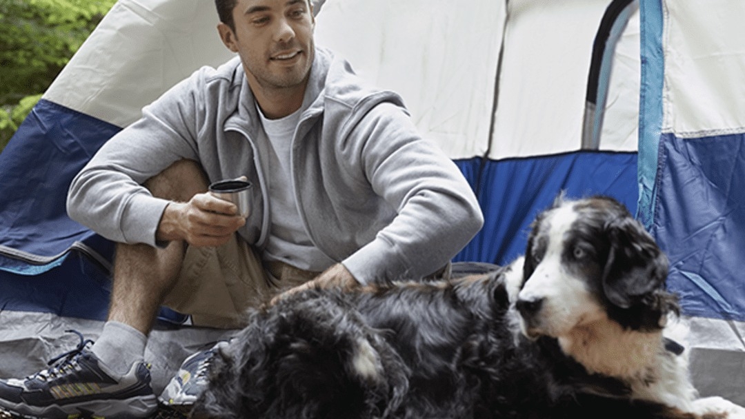Ir de camping con tu perro