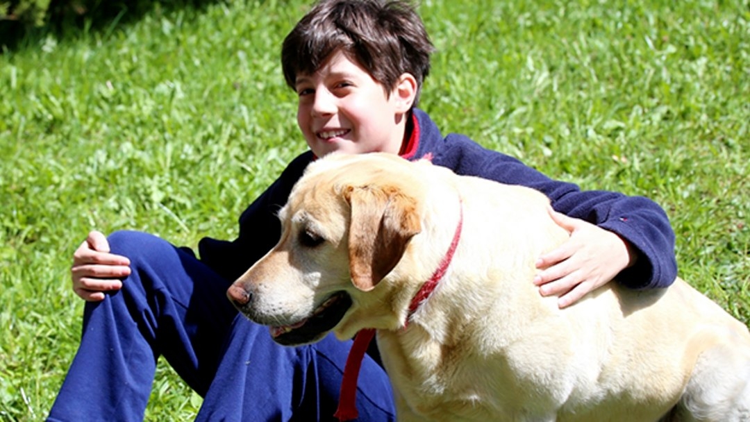 Terapias con animales para el autismo