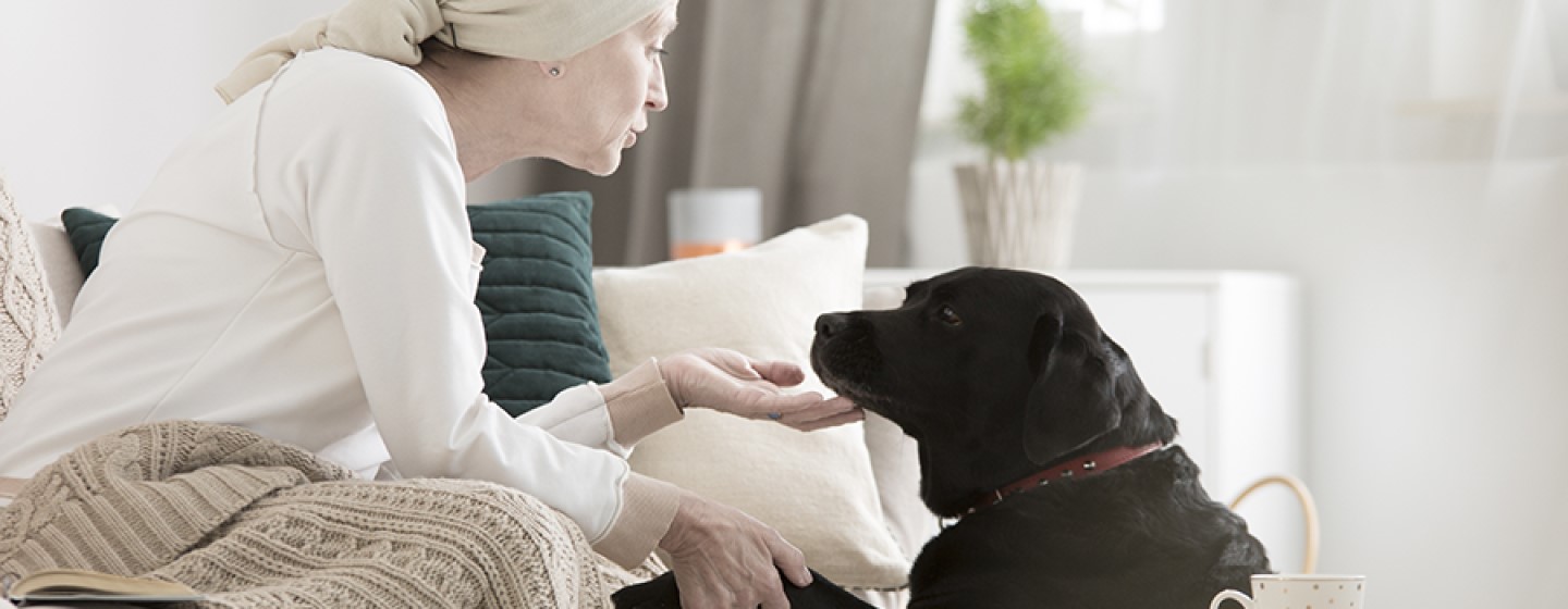 perros como apoyo emocional