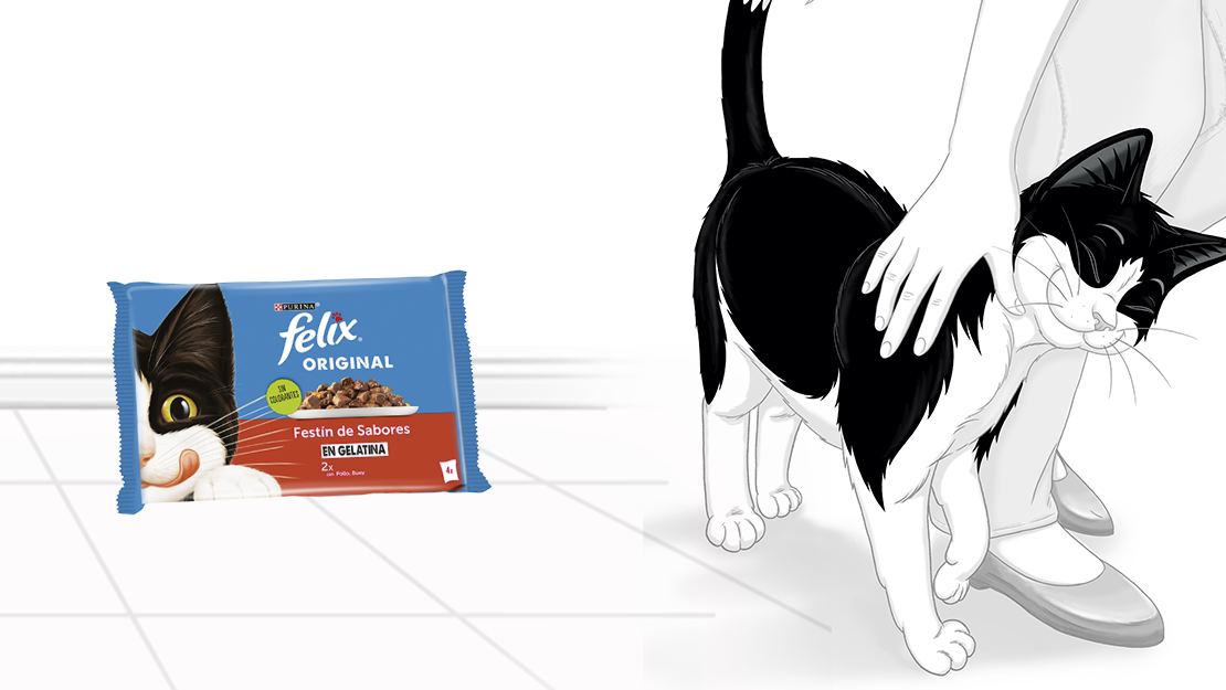 Gama Purina Felix Original​