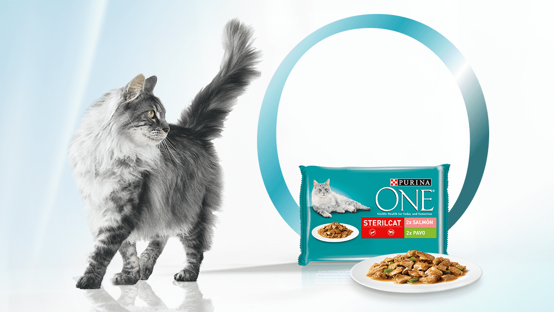 Comida húmeda para gatos Purina ONE®
